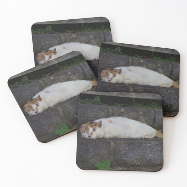 Item preview, sleeping cat on stone stairs designed and sold by mymarvelous.