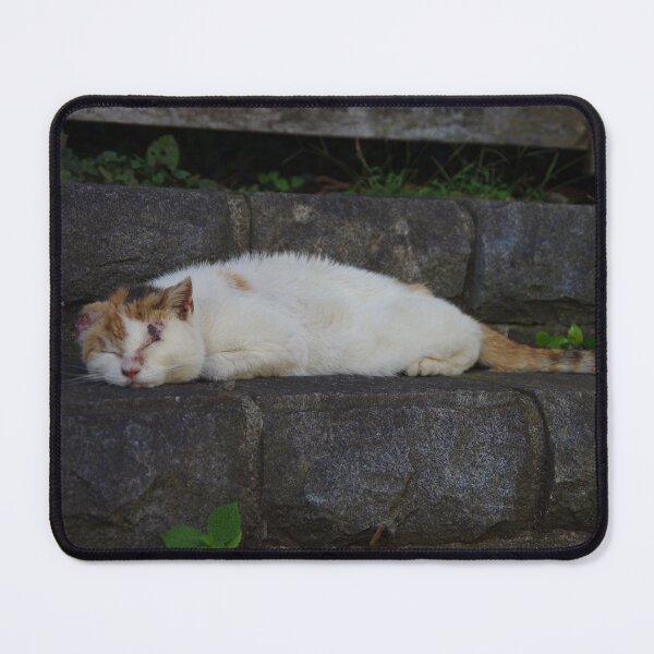 Item preview, sleeping cat on stone stairs designed and sold by mymarvelous.