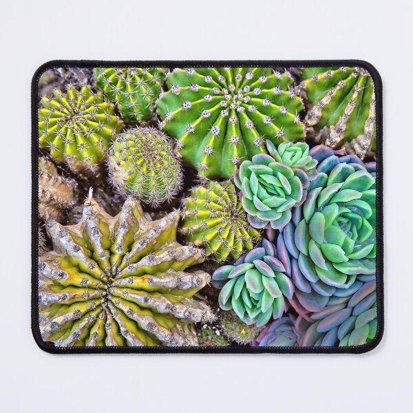 Item preview, Cactus designed and sold by MarieClaude1954.