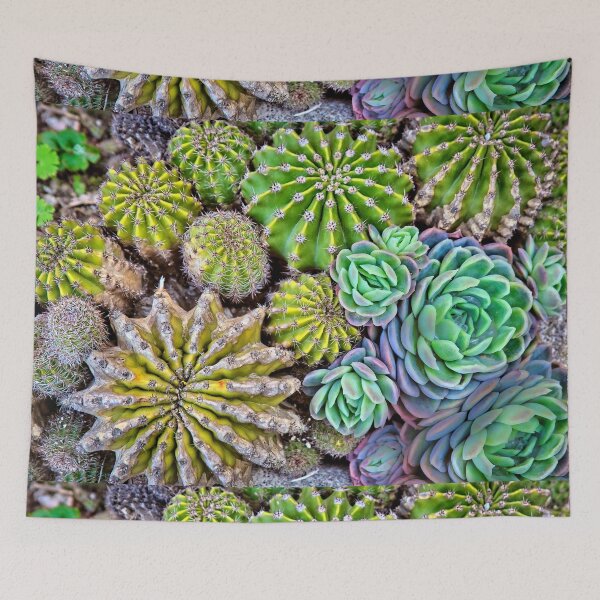 Item preview, Cactus designed and sold by MarieClaude1954.