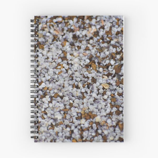Item preview, Tiny Clam shells  designed and sold by Tonia Delozier's Photography .