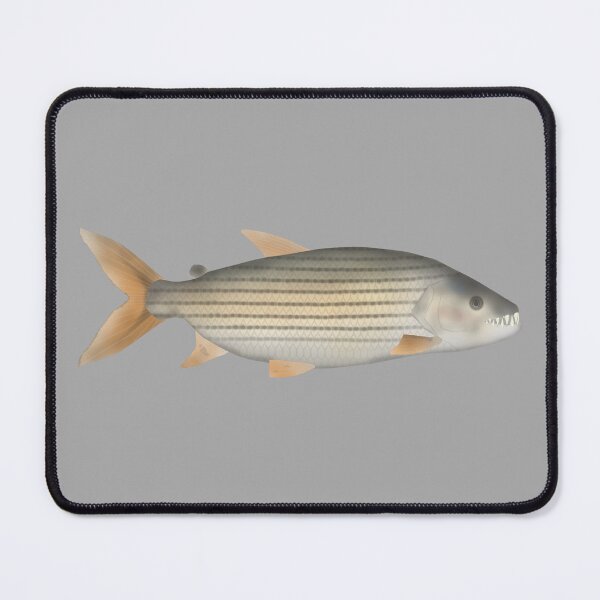 Item preview, Tiger Fish designed and sold by fishfolkart.
