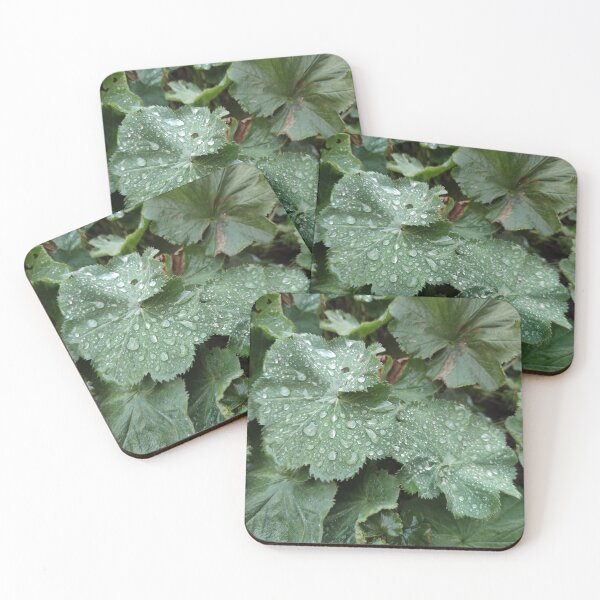 Item preview, Raindrops are like sparkling gems on leaves  designed and sold by tshuki.
