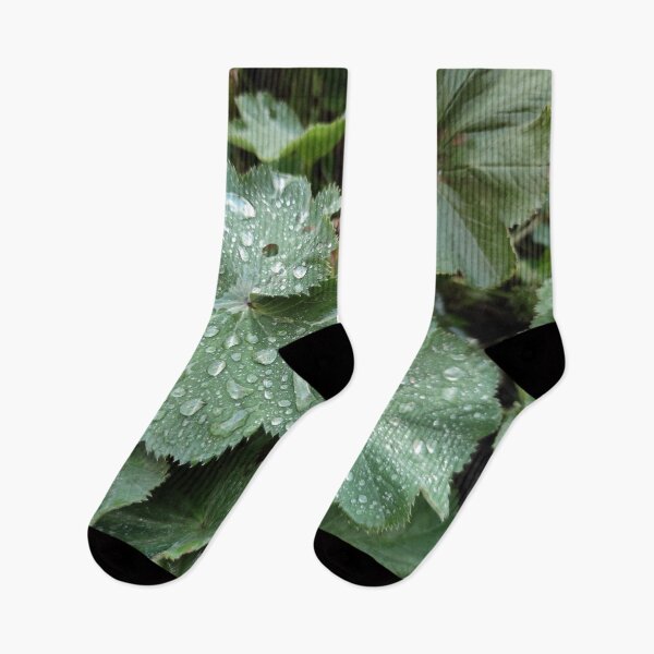 Item preview, Raindrops are like sparkling gems on leaves  designed and sold by tshuki.