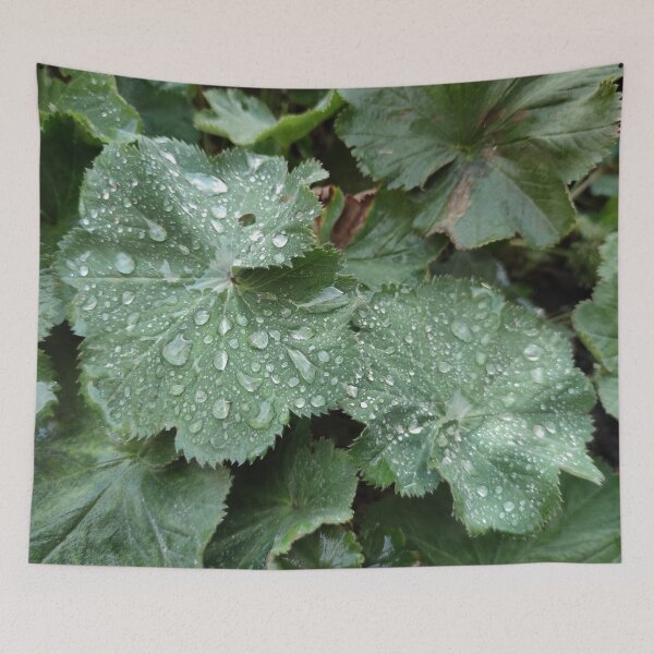 Item preview, Raindrops are like sparkling gems on leaves  designed and sold by tshuki.