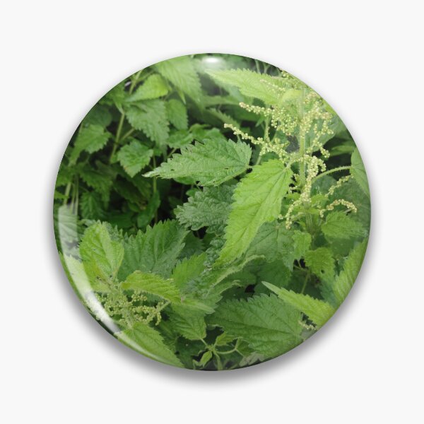 Item preview, Blooming Netles in fall - still as lively as ever designed and sold by tshuki.
