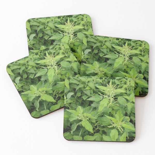 Item preview, Blooming Netles in fall - still as lively as ever designed and sold by tshuki.