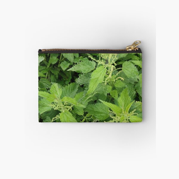 Item preview, Blooming Netles in fall - still as lively as ever designed and sold by tshuki.