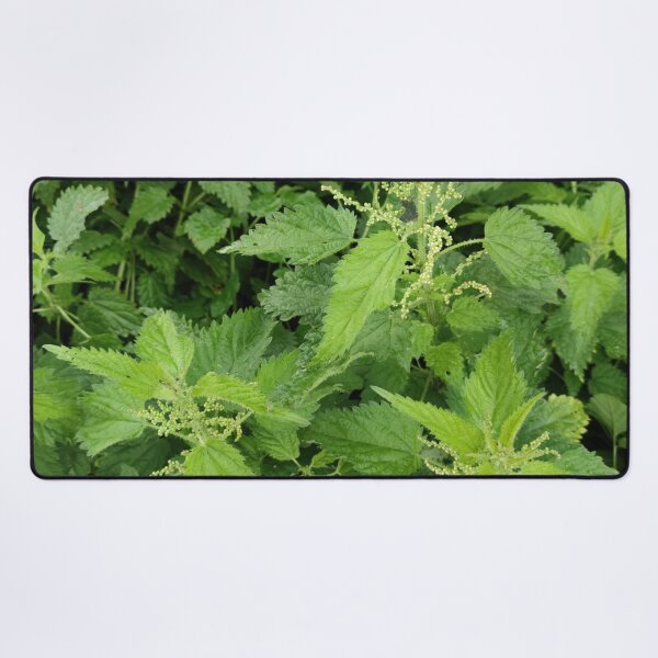 Item preview, Blooming Netles in fall - still as lively as ever designed and sold by tshuki.