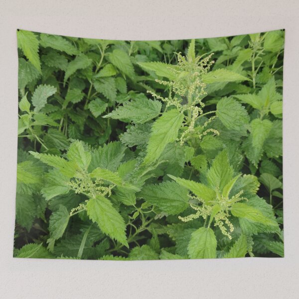 Item preview, Blooming Netles in fall - still as lively as ever designed and sold by tshuki.