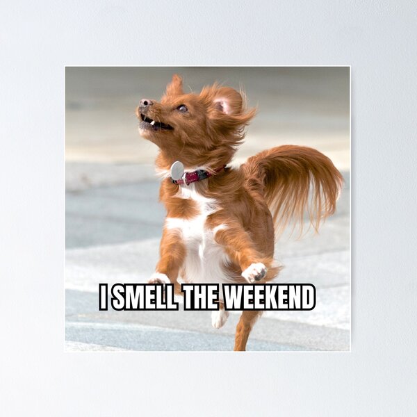 Item preview, I smell the weekend designed and sold by GasconyPassion.