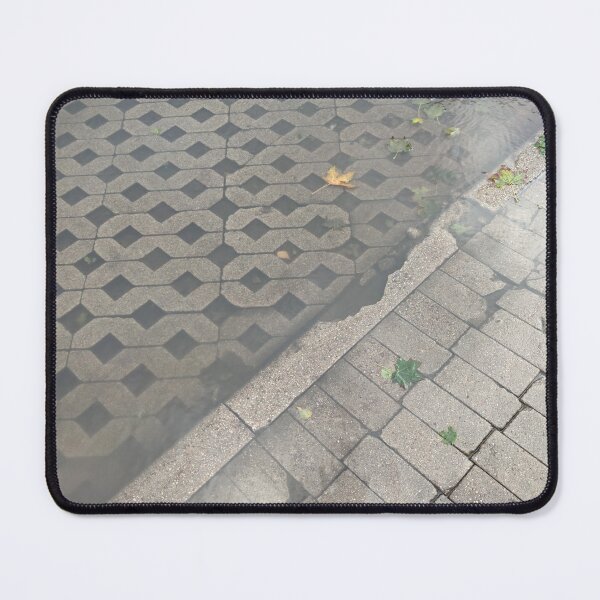 Item preview, Flooding paths in autumn with some leaves floating designed and sold by tshuki.