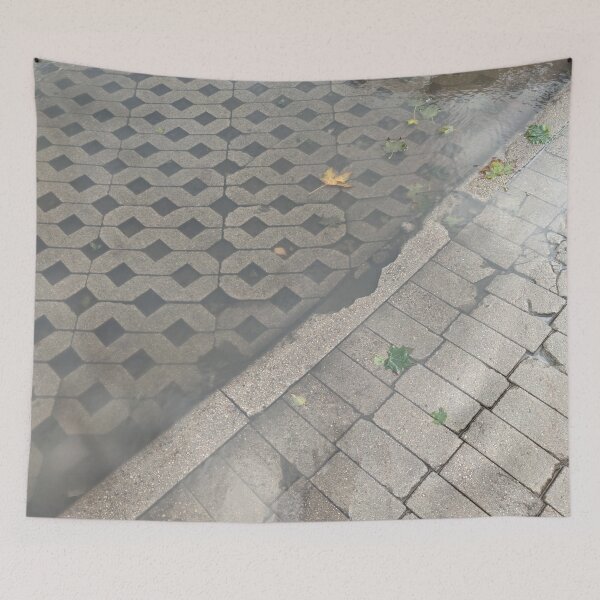 Item preview, Flooding paths in autumn with some leaves floating designed and sold by tshuki.