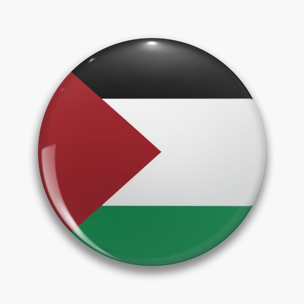 B019-10Pack Coexist Israel Palestine Flag Yin Yang Button Pin