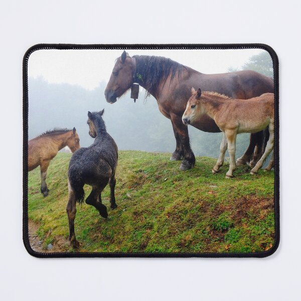 Item preview, Free range horses designed and sold by troianifabrizio.