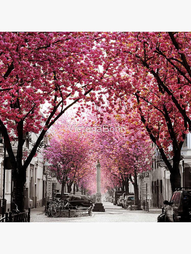 Thumbnail 4 von 4, Uhr, Kirschblüte Bonn, Bester Tag im Frühling designt und verkauft von VictoriaBonn.