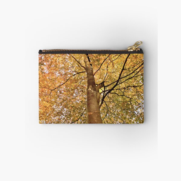 Item preview, Beech Canopy Autumn Colour designed and sold by Jim Key.