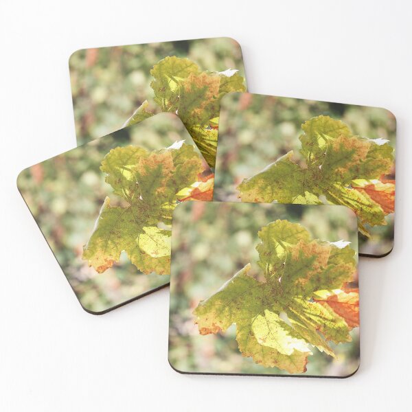 Item preview, Autumn vines. designed and sold by Paul Pasco.
