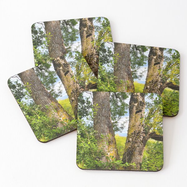 Item preview, Sunlight in the tree designed and sold by bluerosesart37.