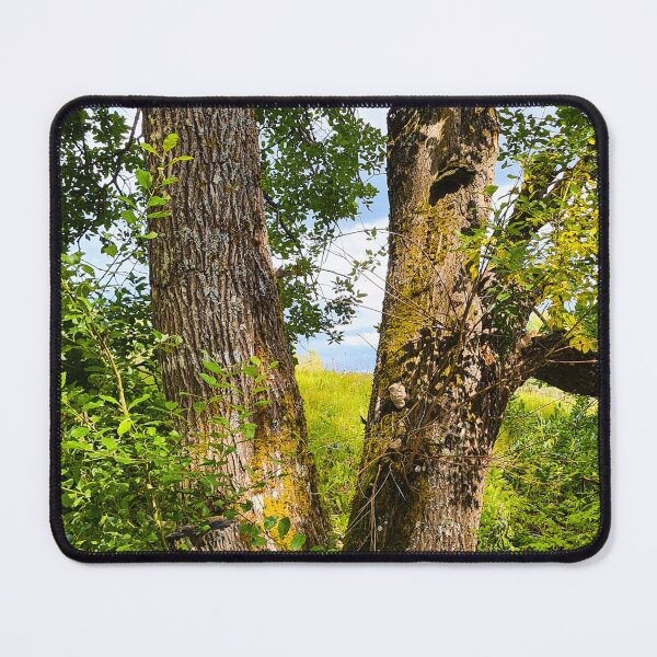 Item preview, Sunlight in the tree designed and sold by bluerosesart37.