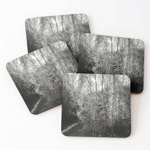Item preview, Bright Backlight of the October noon bw designed and sold by Jouko Lehto Photography.