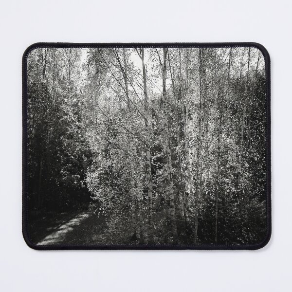 Item preview, Bright Backlight of the October noon bw designed and sold by Jouko Lehto Photography.