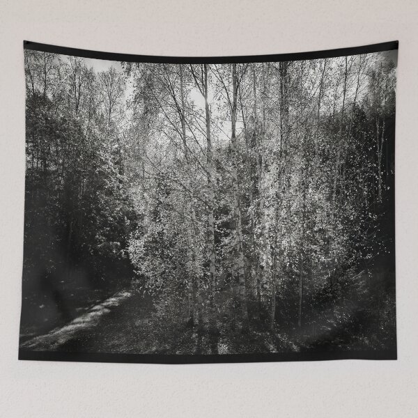 Item preview, Bright Backlight of the October noon bw designed and sold by Jouko Lehto Photography.