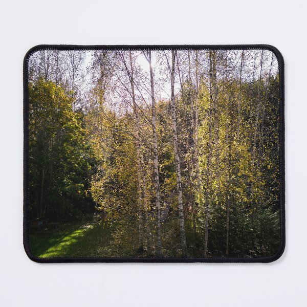Item preview, Bright Backlight of the October noon designed and sold by Jouko Lehto Photography.