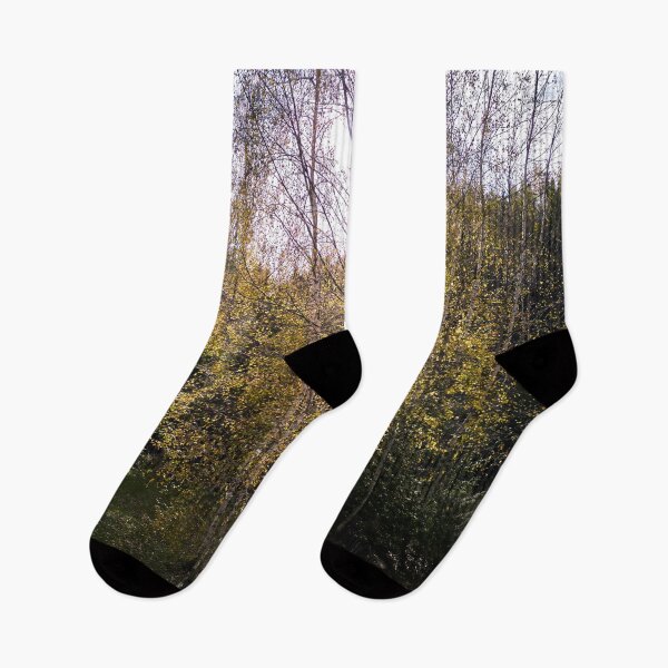Item preview, Bright Backlight of the October noon designed and sold by Jouko Lehto Photography.