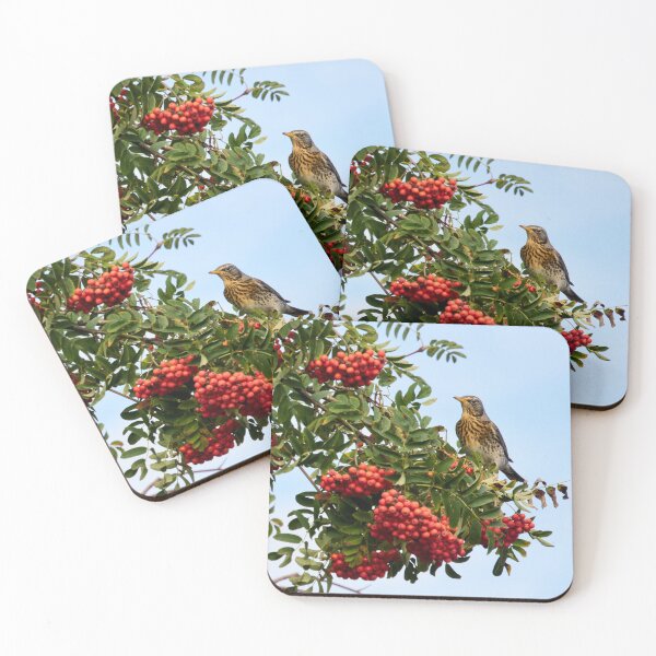 Item preview, All the berries just for me. Fieldfare designed and sold by Jouko Lehto Photography.