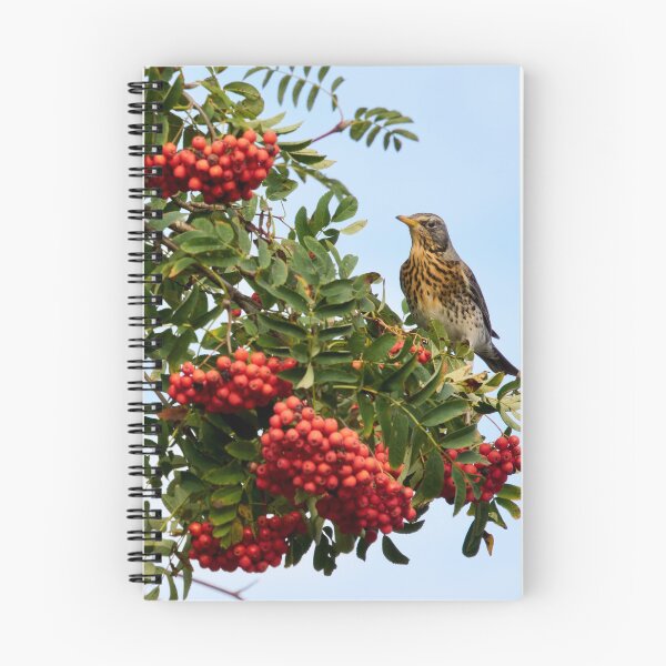 Item preview, All the berries just for me. Fieldfare designed and sold by Jouko Lehto Photography.