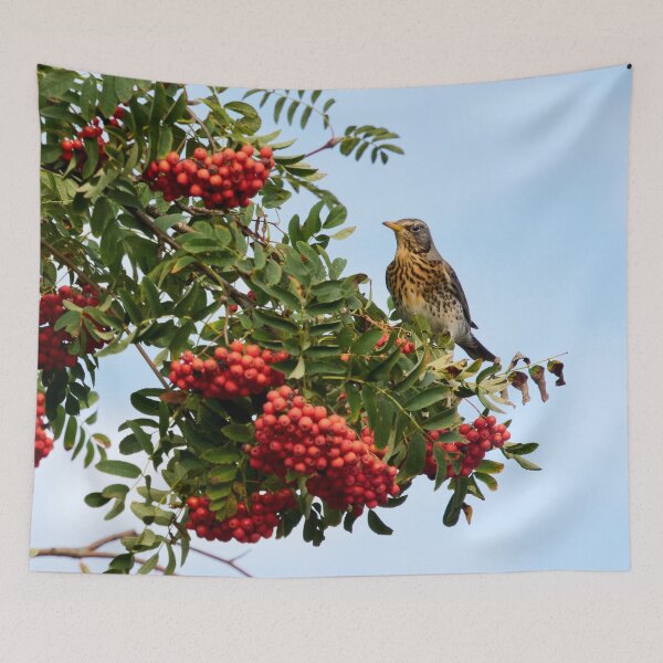 Item preview, All the berries just for me. Fieldfare designed and sold by Jouko Lehto Photography.
