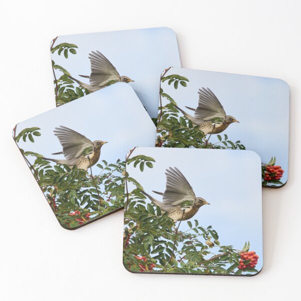 Item preview, Landing zone. Fieldfare designed and sold by Jouko Lehto Photography.