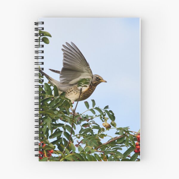 Item preview, Landing zone. Fieldfare designed and sold by Jouko Lehto Photography.