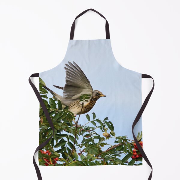Item preview, Landing zone. Fieldfare designed and sold by Jouko Lehto Photography.