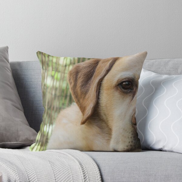 Item preview, Buddy designed and sold by Tim Shoen.