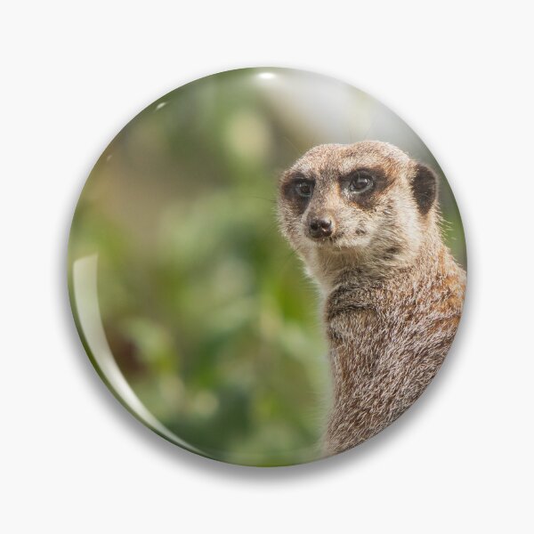 Item preview, Meerkat Keeping Watch designed and sold by flossygibbon.