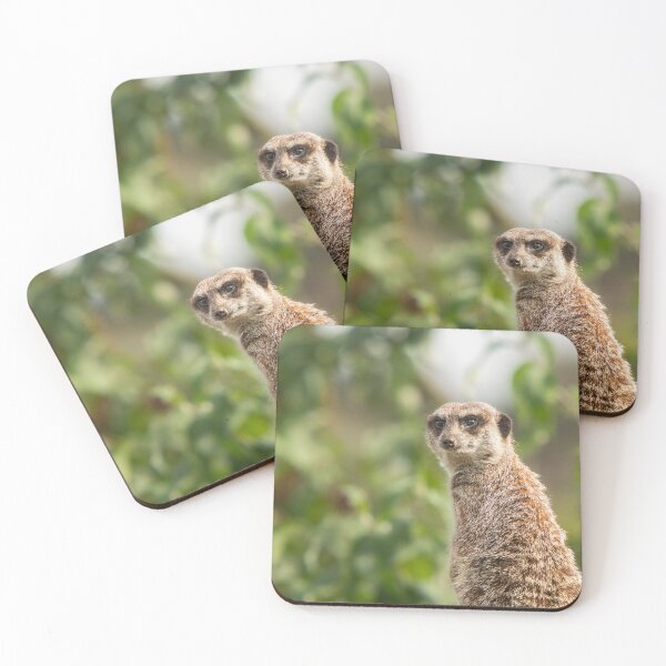 Item preview, Meerkat Keeping Watch designed and sold by flossygibbon.