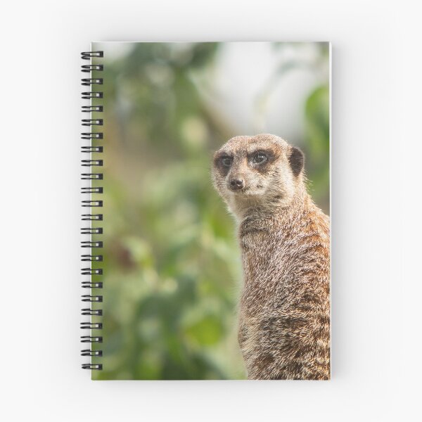 Item preview, Meerkat Keeping Watch designed and sold by flossygibbon.