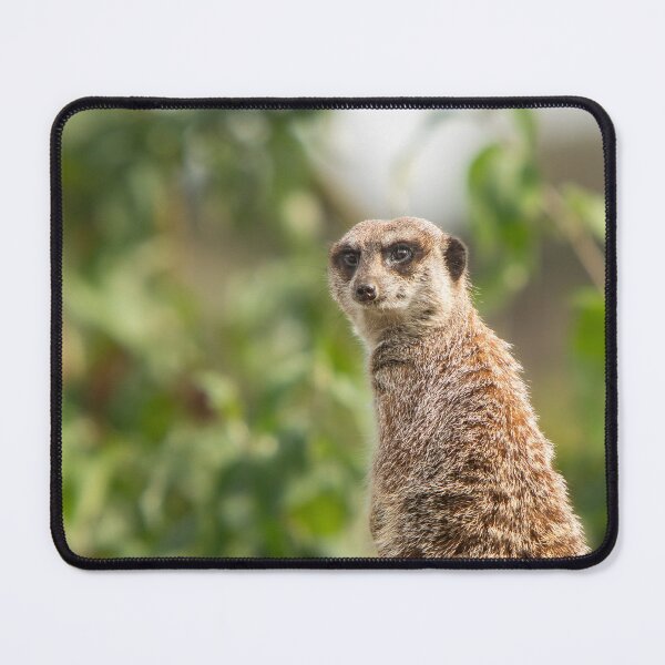 Item preview, Meerkat Keeping Watch designed and sold by flossygibbon.