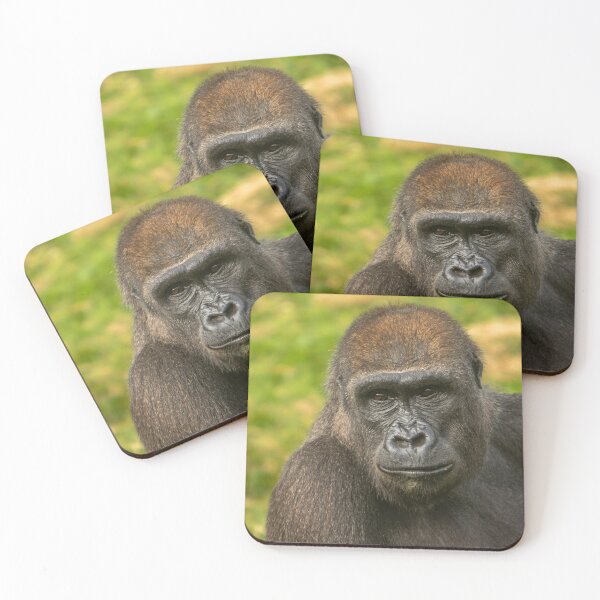 Item preview, Gorilla contemplating life after lunch designed and sold by flossygibbon.