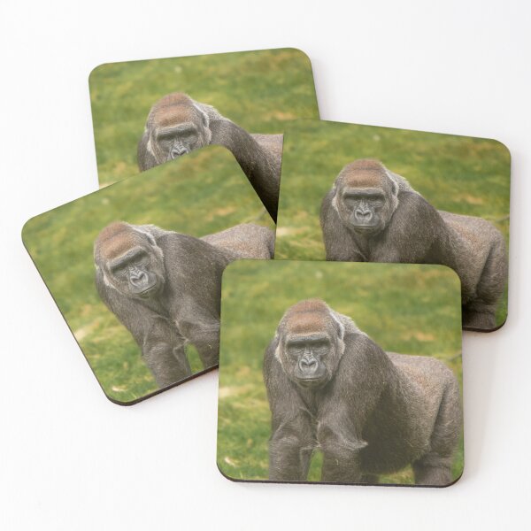 Item preview, Great Silverback Gorilla Watching designed and sold by flossygibbon.