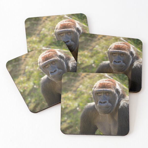 Item preview, Portrait of a Silverback Gorilla designed and sold by flossygibbon.