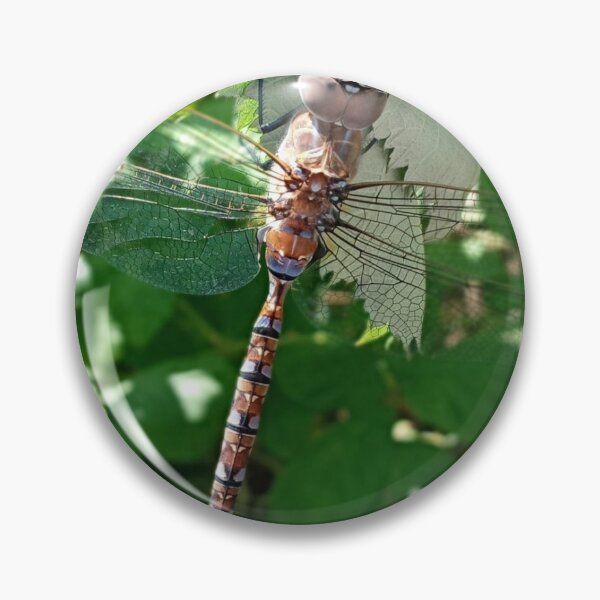 Item preview, DRAGONFLY designed and sold by Zephyrdimension.