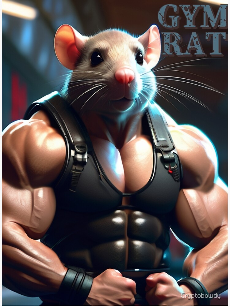 What is a Gym Rat? - NinjAthlete