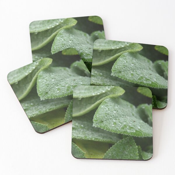 Item preview, Macro of Morning Leaves designed and sold by MJLH-Lives.