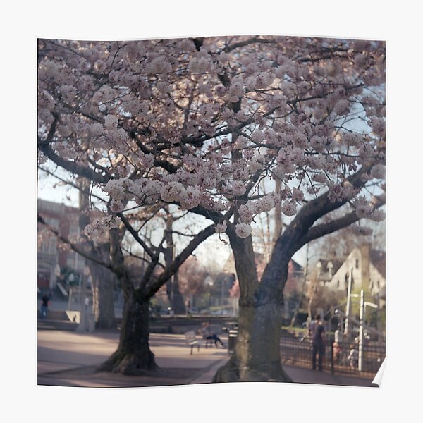 Shelter. Poster