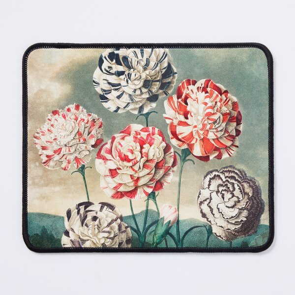 Item preview, Robert John Thornton: A Group of Carnations 1807, Phone Case, Shower Curtain, Pet Blanket, T-shirt, Mug designed and sold by Suzana Djordjevic.