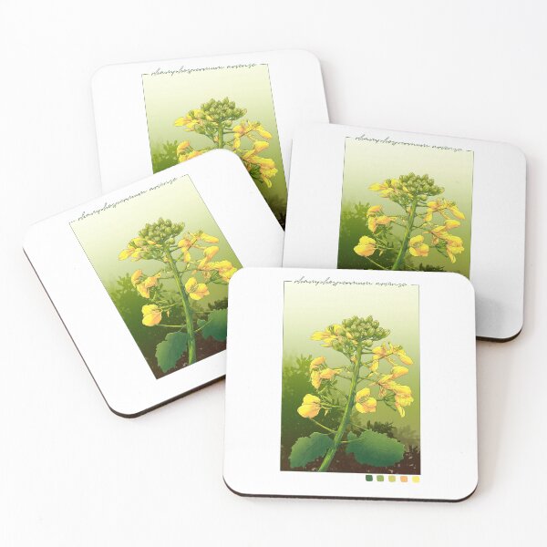 Item preview, Inktober 2023: Wild Mustard designed and sold by karikun.