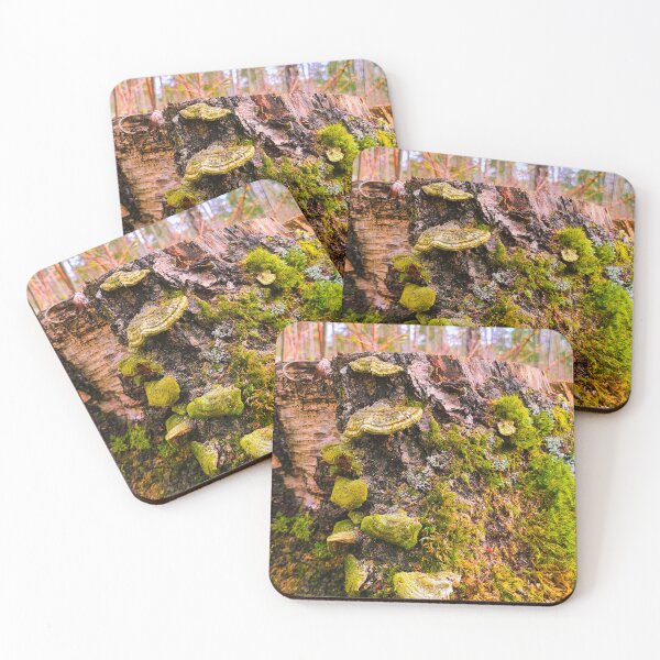Item preview, Life on the stump designed and sold by bluerosesart37.